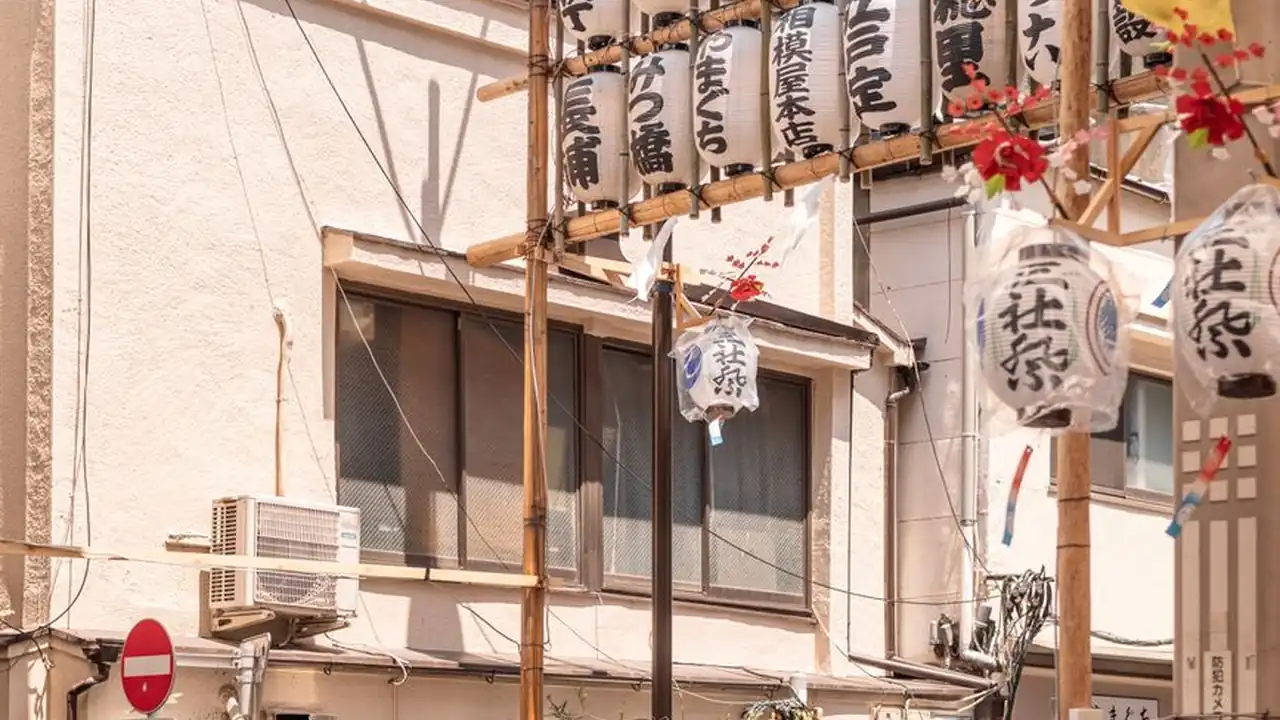 少女免费观看mv大片高清动漫版图标
